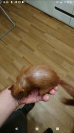 _20211021_103102.JPG