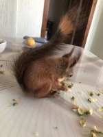 IMG_3121.jpeg