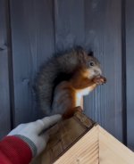 IMG_5954.jpeg