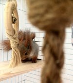 F48ED78B-61EB-48C8-BFCE-F698064286BF.jpeg F48ED78B-61EB-48C8-BFCE-F698064286BF.jpeg