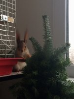 59695789-0352-4C3E-A32C-0CECC3910C72.jpeg 59695789-0352-4C3E-A32C-0CECC3910C72.jpeg