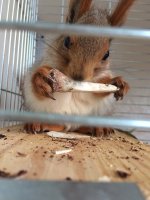 D6958782-1D3B-4DB5-ADCC-A5A2CB443C37.jpeg D6958782-1D3B-4DB5-ADCC-A5A2CB443C37.jpeg