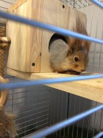 4E4E7E94-4390-4F3D-AF48-5056DE1943F1.jpeg 4E4E7E94-4390-4F3D-AF48-5056DE1943F1.jpeg