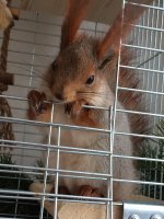 1F8C5A89-377C-4283-B3D5-1C862DDAFC7B.jpeg 1F8C5A89-377C-4283-B3D5-1C862DDAFC7B.jpeg