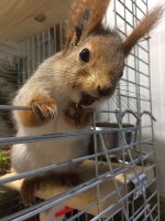 0E59D730-8C6D-4ECF-8299-6C7074F85478.jpeg 0E59D730-8C6D-4ECF-8299-6C7074F85478.jpeg