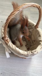 634F97A8-5146-4B4C-98F0-7C2A300F67CB.jpeg 634F97A8-5146-4B4C-98F0-7C2A300F67CB.jpeg