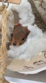 3CDFBABF-FA81-4FD2-B10C-1881C3F56FB5.jpeg 3CDFBABF-FA81-4FD2-B10C-1881C3F56FB5.jpeg