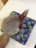 D0A68F20-FB7C-457D-B325-5BF55FCAA38D.jpeg D0A68F20-FB7C-457D-B325-5BF55FCAA38D.jpeg