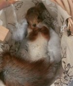 3EB94731-849B-443F-AD0B-6B1368BED7A8.jpeg 3EB94731-849B-443F-AD0B-6B1368BED7A8.jpeg