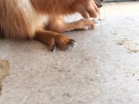 7554D405-6CA3-4E32-9AE5-7E048C648573.jpeg