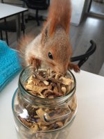 3E2B93FB-9F10-4C97-A55F-86FBB2F98F1D.jpeg 3E2B93FB-9F10-4C97-A55F-86FBB2F98F1D.jpeg