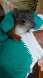 WhatsApp Image 2021-07-21 at 13.08.28.jpeg