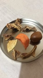 FD509D2A-C253-46B1-891B-E1AA3EF4E428.jpeg FD509D2A-C253-46B1-891B-E1AA3EF4E428.jpeg