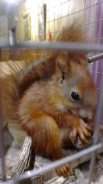 IMG_20210902_075141.jpg