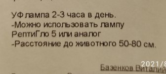 IMG_20210930_112503.jpg
