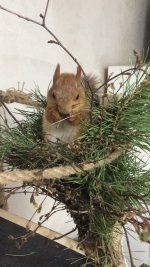 E24A1D37-FF51-43CD-AAC4-22309C460582.jpeg E24A1D37-FF51-43CD-AAC4-22309C460582.jpeg