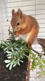 CE662C88-5C6E-427C-9018-3DA077A27731.jpeg CE662C88-5C6E-427C-9018-3DA077A27731.jpeg