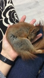 A63FEAB4-36AC-4C1E-B07A-F973CFAA12FE.jpeg A63FEAB4-36AC-4C1E-B07A-F973CFAA12FE.jpeg