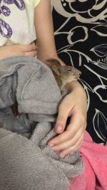 3A974E3B-4D12-4D38-9B24-8622D3742891.jpeg 3A974E3B-4D12-4D38-9B24-8622D3742891.jpeg