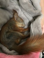 2FB92CDD-B2AA-4916-B29A-C2A0DCF2B489.jpeg 2FB92CDD-B2AA-4916-B29A-C2A0DCF2B489.jpeg