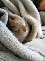 9F0C3635-0FAD-4725-B955-C60CA70BC8C8.jpeg 9F0C3635-0FAD-4725-B955-C60CA70BC8C8.jpeg