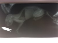 B2A079D6-C898-4CFE-A697-E9BD13EBEE8C.jpeg B2A079D6-C898-4CFE-A697-E9BD13EBEE8C.jpeg