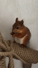 0C1D3712-4875-4139-8A81-A4938C125A3E.jpeg 0C1D3712-4875-4139-8A81-A4938C125A3E.jpeg