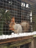 IMG-20171220-WA0041.jpg