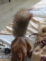 E2DFCCCC-47F2-4CC2-AE38-4869987A90BD.jpeg E2DFCCCC-47F2-4CC2-AE38-4869987A90BD.jpeg