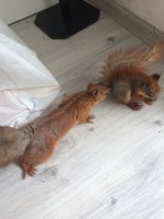 D2C26CDA-AC23-4A93-869B-90C127643259.jpeg D2C26CDA-AC23-4A93-869B-90C127643259.jpeg