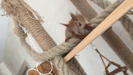 D920A918-22FA-49D8-B54F-B490EAB08942.jpeg D920A918-22FA-49D8-B54F-B490EAB08942.jpeg