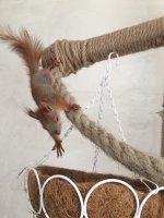 BB1713A7-C0D4-44C3-92BC-41E5BCB677AE.jpeg BB1713A7-C0D4-44C3-92BC-41E5BCB677AE.jpeg