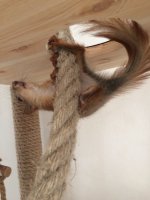 BCD08ECC-CF5B-4102-B60C-7F898B47B2C9.jpeg BCD08ECC-CF5B-4102-B60C-7F898B47B2C9.jpeg