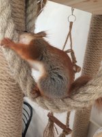 00751E7C-1DC3-4659-A219-421CD157291E.jpeg 00751E7C-1DC3-4659-A219-421CD157291E.jpeg