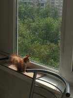 2F5A1486-20C6-4040-BE83-69FCDF4B1451.jpeg 2F5A1486-20C6-4040-BE83-69FCDF4B1451.jpeg