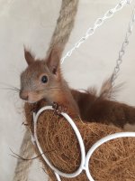 1C4001DF-51B9-47FE-92DE-1F740B99C83F.jpeg 1C4001DF-51B9-47FE-92DE-1F740B99C83F.jpeg