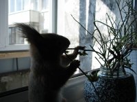 08.jpg 08.jpg