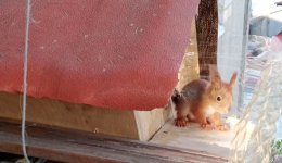 IMG_20220504_222843.jpg IMG_20220504_222843.jpg