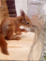 IMG_20220504_222904.jpg IMG_20220504_222904.jpg