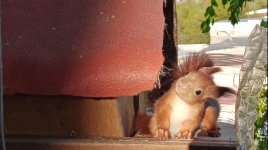 IMG_20220504_222934.jpg IMG_20220504_222934.jpg