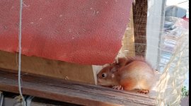 IMG_20220504_222919.jpg IMG_20220504_222919.jpg