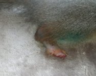 09.jpg 09.jpg