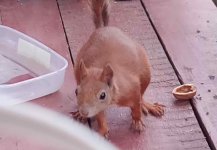 InShot_20220622_221331590_compress0.jpg