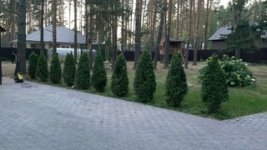 10EF6C4D-26EF-47EE-99D0-66DB348D48B8.jpeg 10EF6C4D-26EF-47EE-99D0-66DB348D48B8.jpeg