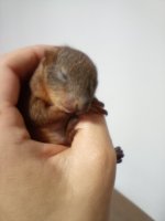 IMG_20230710_194328990.jpg IMG_20230710_194328990.jpg