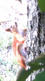 IMG_20240527_110012_973.jpg