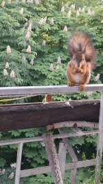 VideoCapture_20240527-132251.jpg