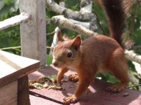 IMG_20240527_132854_706.jpg