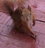 IMG_20240612_103624_615.jpg