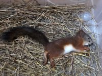 IMG_7681.jpeg IMG_7681.jpeg